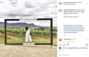 Instagram Scarborough Wine